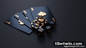 AG真人 tibetwin